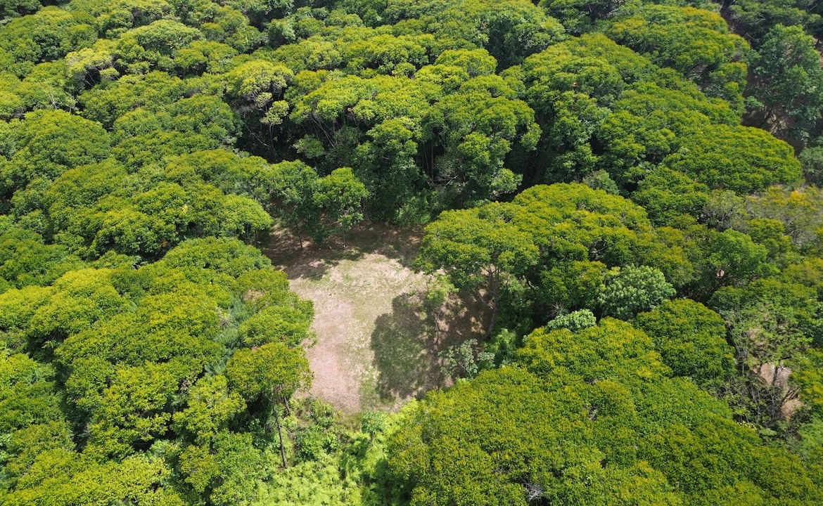 Private 6-Acre Dominical Jungle Property