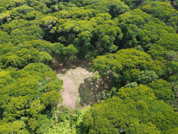 Private 6-Acre Dominical Jungle Property