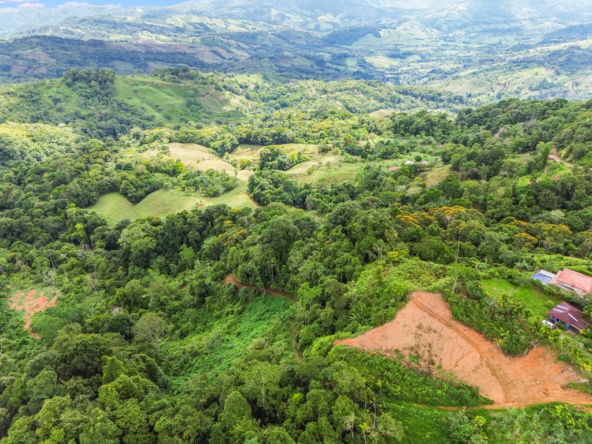 Affordable 22 Acre South Pacific Farm with Dual Building Sites