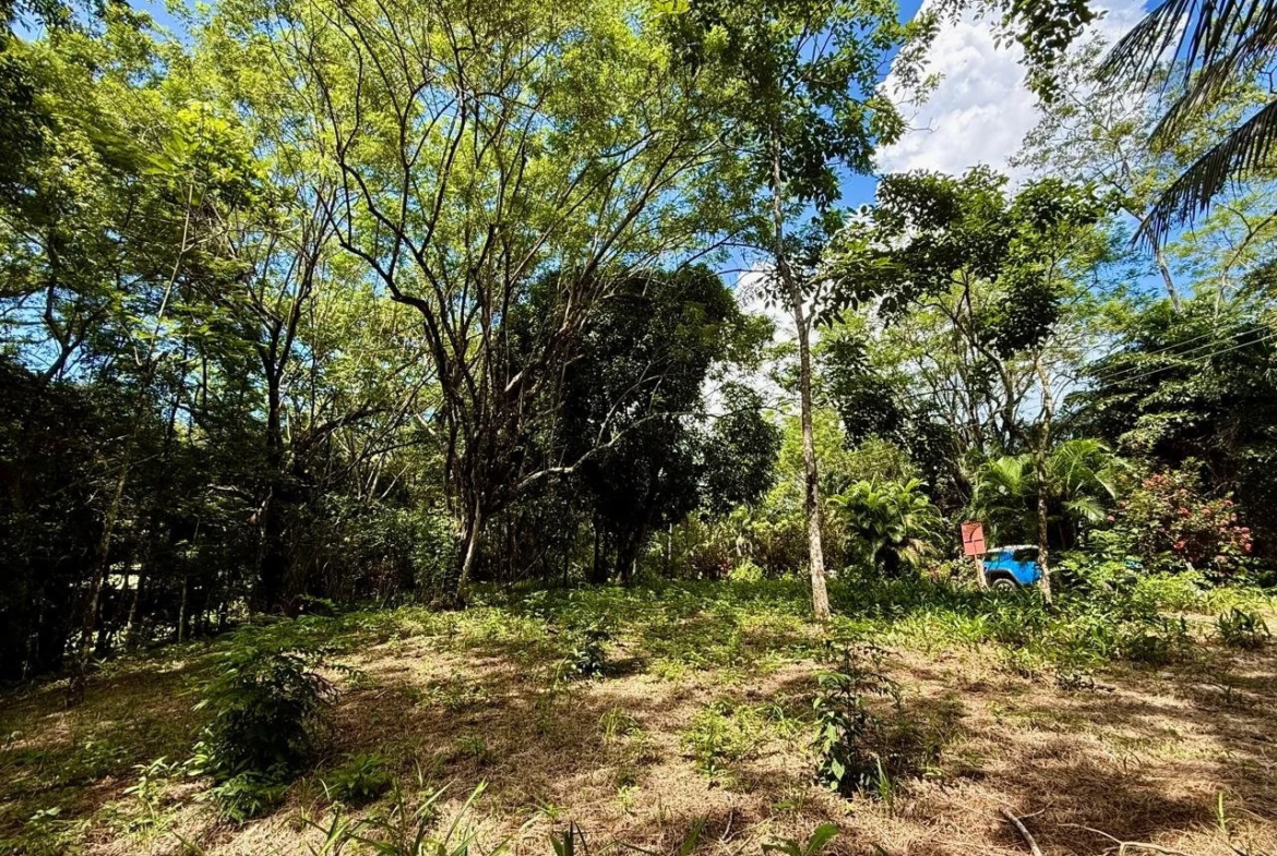 5000 m2 Gated Community Jungle Lot near Montezuma