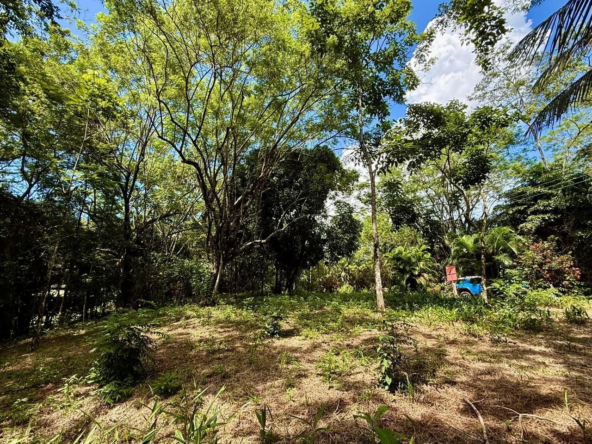 5000 m2 Gated Community Jungle Lot near Montezuma