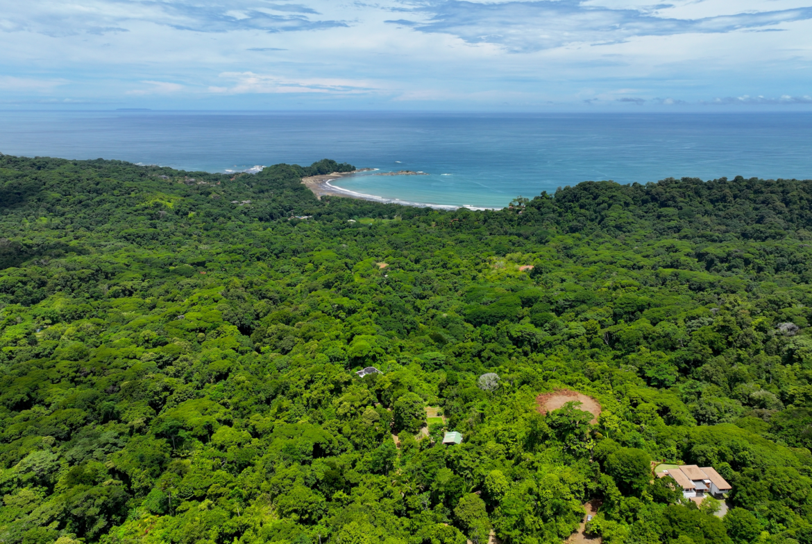 Dominicalito Bay 6-Acre Premier View Estate Homesite