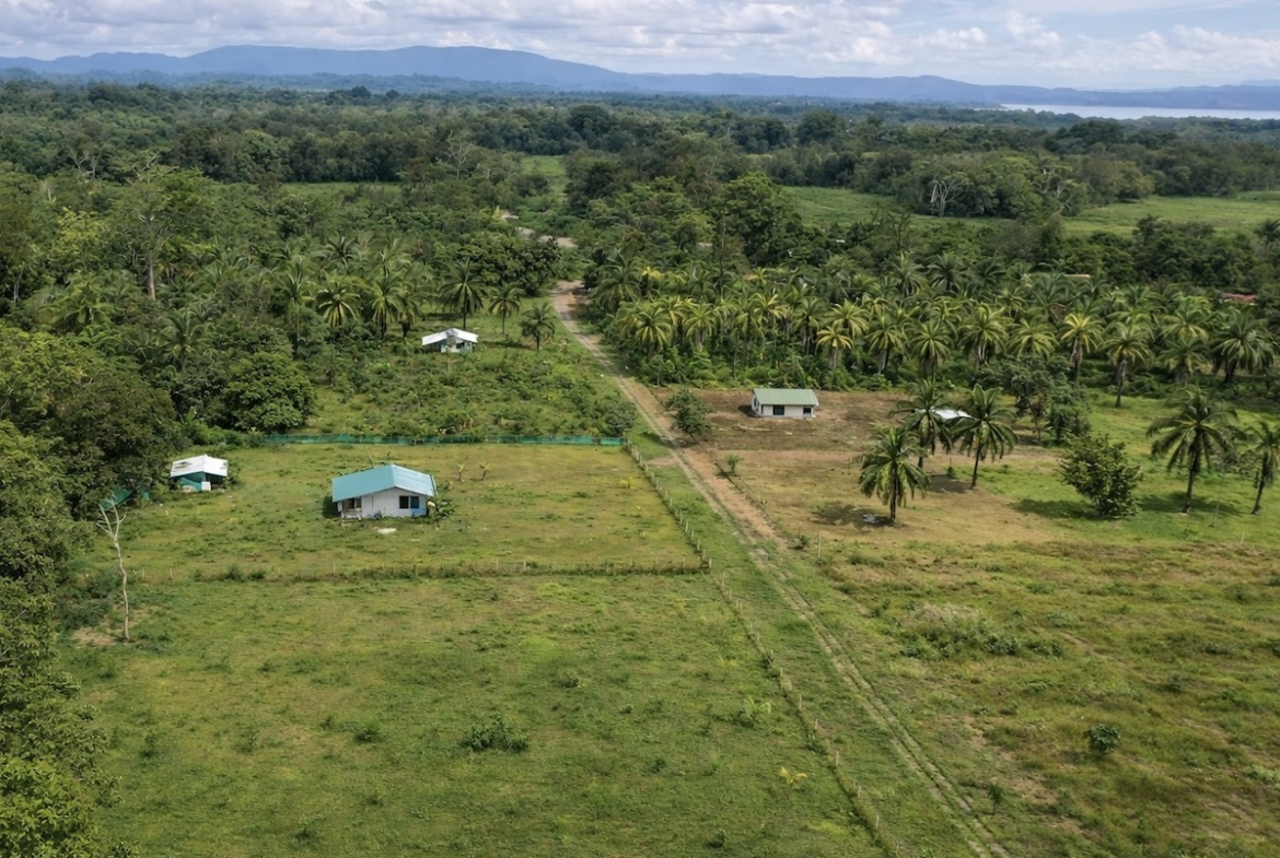 2 Acre Building lot Near Puerto Jimenez in the Osa Peninsula