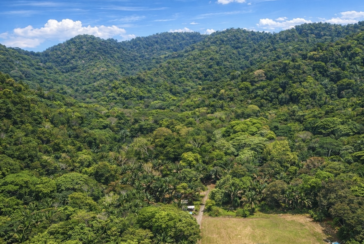 8+ Acre-Property Near Carate Beach in Osa Peninsula