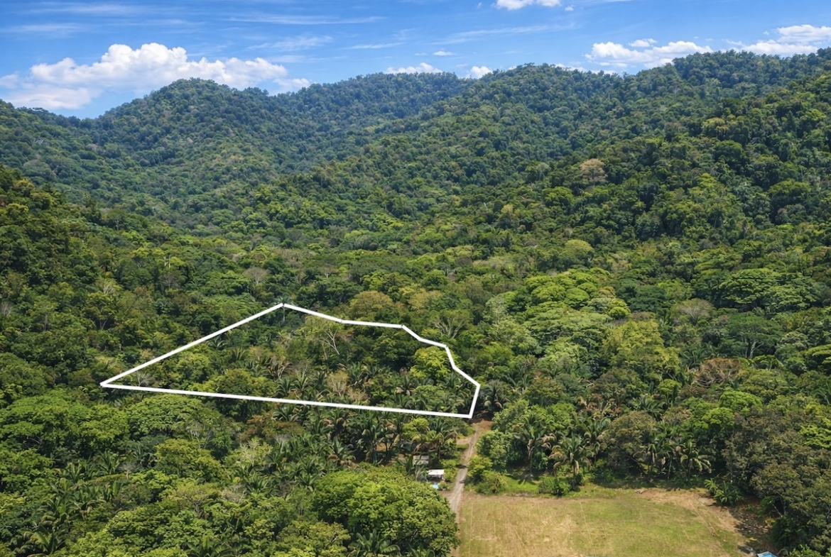 Property Near Carate Beach